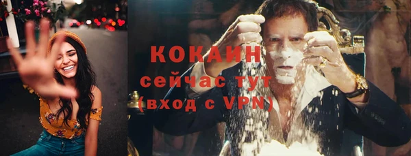 apvp Карпинск